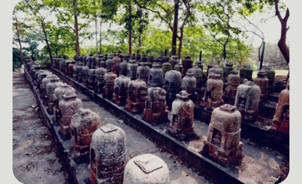 ratngiri cave odisha (2)